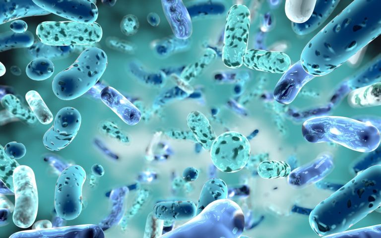 Les méthodes de désinfection efficaces pour éliminer les microbes dans votre&nbsp;environnement.