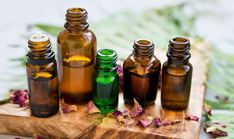 Les meilleurs répulsifs naturels pour éloigner les nuisibles de votre&nbsp;maison.